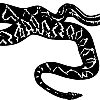 SNAKE007 Thumbnail