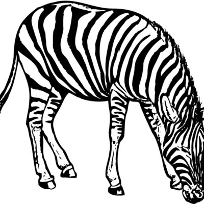ZEBRA001 Thumbnail