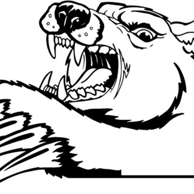 brmsb01 Thumbnail