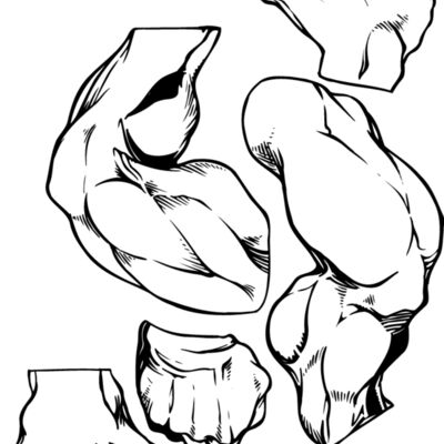 bodyprts Thumbnail