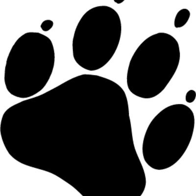 dgpaw Thumbnail