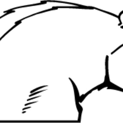 pnmsb06 Thumbnail