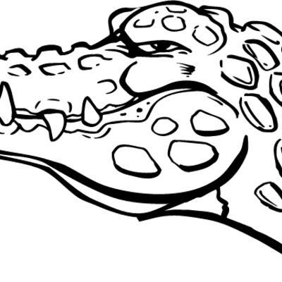 gtmsb15 Thumbnail