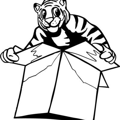 tgbox Thumbnail