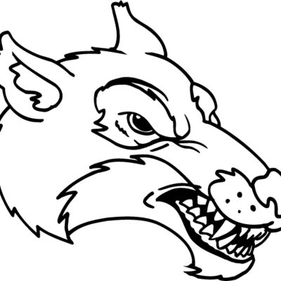 wfhdb13 Thumbnail