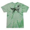 Adult 5.4 oz. 100% Cotton Spider T-Shirt Thumbnail