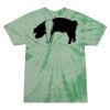 Adult 5.4 oz. 100% Cotton Spider T-Shirt Thumbnail