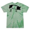 Adult 5.4 oz. 100% Cotton Spider T-Shirt Thumbnail