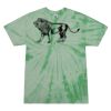 Adult 5.4 oz. 100% Cotton Spider T-Shirt Thumbnail