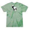 Adult 5.4 oz. 100% Cotton Spider T-Shirt Thumbnail