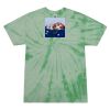 Adult 5.4 oz. 100% Cotton Spider T-Shirt Thumbnail
