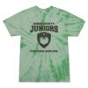 Adult 5.4 oz. 100% Cotton Spider T-Shirt Thumbnail