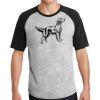 Short Sleeve Colorblock Raglan Jersey Thumbnail