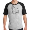 Short Sleeve Colorblock Raglan Jersey Thumbnail