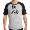 Short Sleeve Colorblock Raglan Jersey Thumbnail