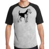 Short Sleeve Colorblock Raglan Jersey Thumbnail