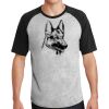 Short Sleeve Colorblock Raglan Jersey Thumbnail