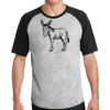 Short Sleeve Colorblock Raglan Jersey Thumbnail