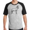 Short Sleeve Colorblock Raglan Jersey Thumbnail