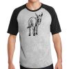 Short Sleeve Colorblock Raglan Jersey Thumbnail