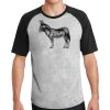 Short Sleeve Colorblock Raglan Jersey Thumbnail