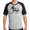 Short Sleeve Colorblock Raglan Jersey Thumbnail