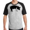 Short Sleeve Colorblock Raglan Jersey Thumbnail