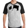 Short Sleeve Colorblock Raglan Jersey Thumbnail