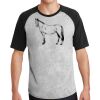 Short Sleeve Colorblock Raglan Jersey Thumbnail