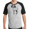 Short Sleeve Colorblock Raglan Jersey Thumbnail
