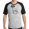 Short Sleeve Colorblock Raglan Jersey Thumbnail