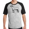 Short Sleeve Colorblock Raglan Jersey Thumbnail