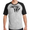 Short Sleeve Colorblock Raglan Jersey Thumbnail