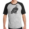 Short Sleeve Colorblock Raglan Jersey Thumbnail