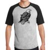 Short Sleeve Colorblock Raglan Jersey Thumbnail