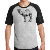 Short Sleeve Colorblock Raglan Jersey Thumbnail