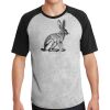 Short Sleeve Colorblock Raglan Jersey Thumbnail