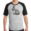 Short Sleeve Colorblock Raglan Jersey Thumbnail