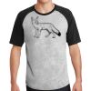 Short Sleeve Colorblock Raglan Jersey Thumbnail