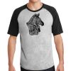 Short Sleeve Colorblock Raglan Jersey Thumbnail