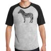 Short Sleeve Colorblock Raglan Jersey Thumbnail