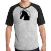 Short Sleeve Colorblock Raglan Jersey Thumbnail