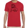 Adult Softstyle®  4.5 oz. T-Shirt Thumbnail