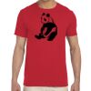Adult Softstyle®  4.5 oz. T-Shirt Thumbnail