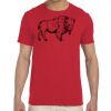 Adult Softstyle®  4.5 oz. T-Shirt Thumbnail
