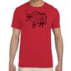 Adult Softstyle®  4.5 oz. T-Shirt Thumbnail