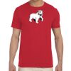 Adult Softstyle®  4.5 oz. T-Shirt Thumbnail