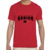 Adult Softstyle®  4.5 oz. T-Shirt Thumbnail
