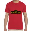 Adult Softstyle®  4.5 oz. T-Shirt Thumbnail