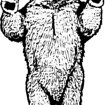 Bears Thumbnail
